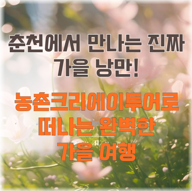 춘천에서-만나는-진짜-가을-낭만!-농촌크리에이투어로-떠나는-완벽한-가을-여행