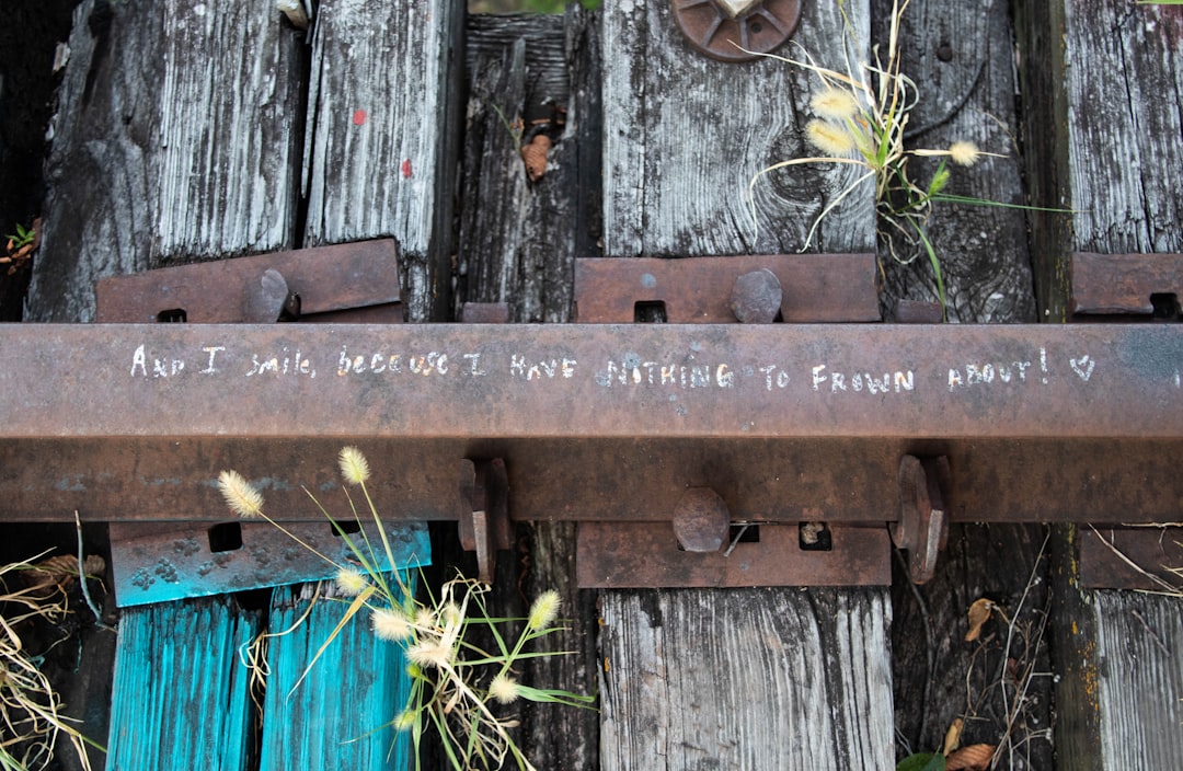 Insight