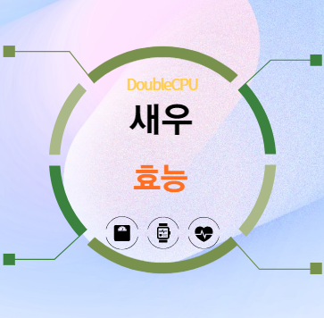 새우 효능 탐구