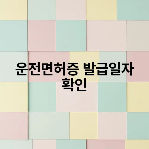 운전면허증 발급일자 확인