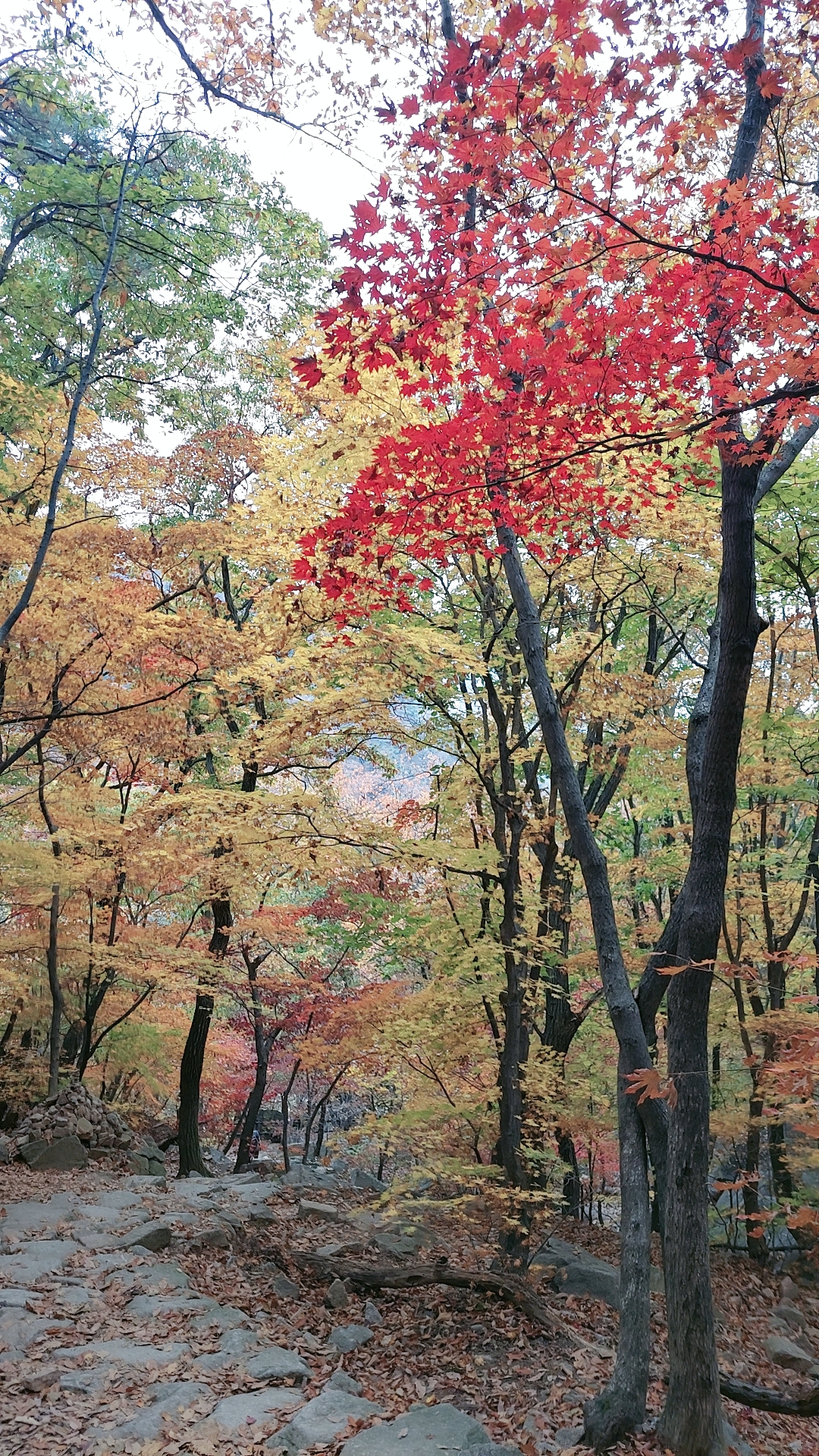 숨은벽