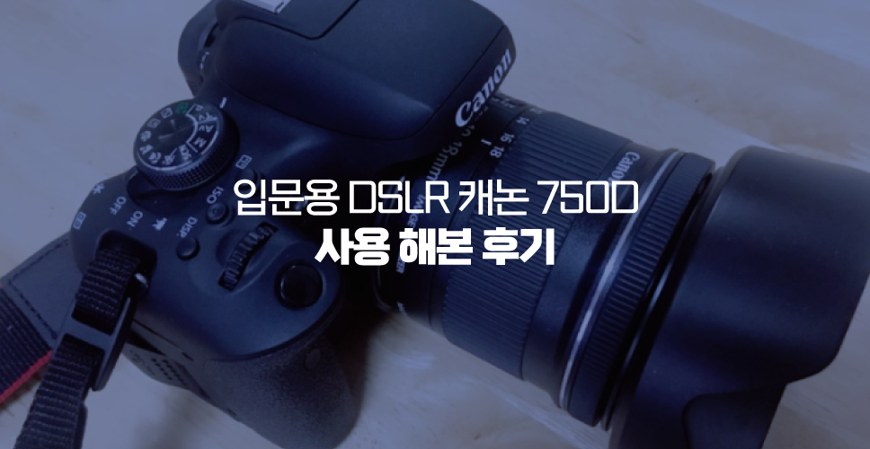 입문용 DSLR 캐논 750D 사용해본 후기