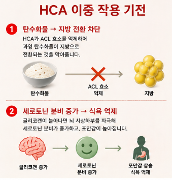니아르가르시니아-내돈내산-후기-먹는법-부작용-함량