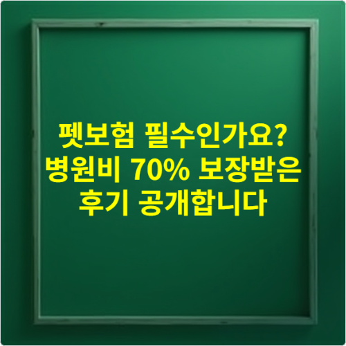 펫보험 필수인가요 병원비 70% 보장받은 후기 공개합니다
