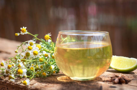 카모마일 차