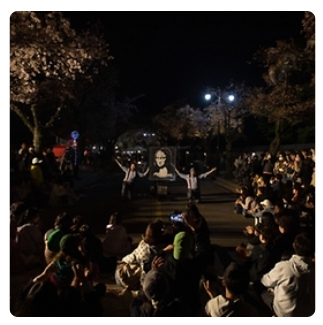 벚꽃 축제 일정 2024 벚꽃 만개 시기