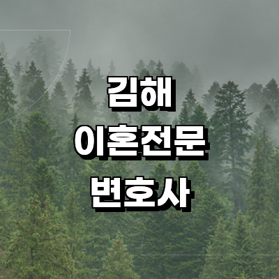 김해시 이혼 변호사