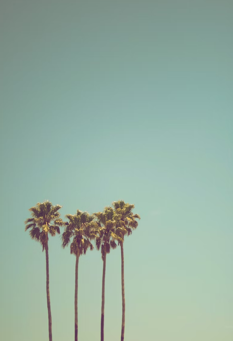 날씨와 감정의 과학적 상관관계