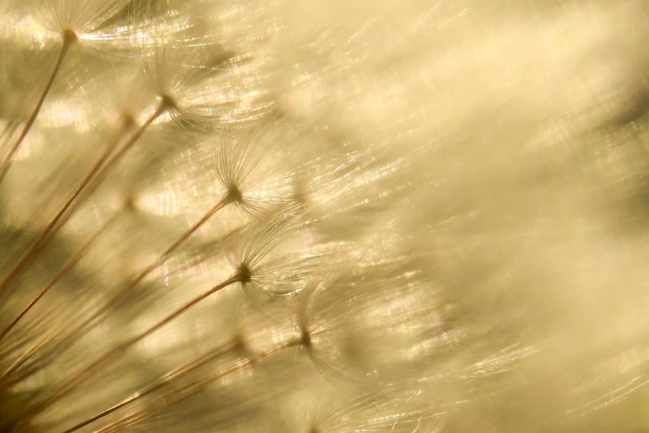 꽃&middot;수분&middot;결실률 변화: 생식 단계 영향