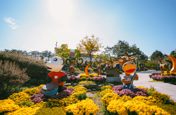 익산 천만송이 국화축제 2025 | 가을에 꼭 가야 할 꽃축제
