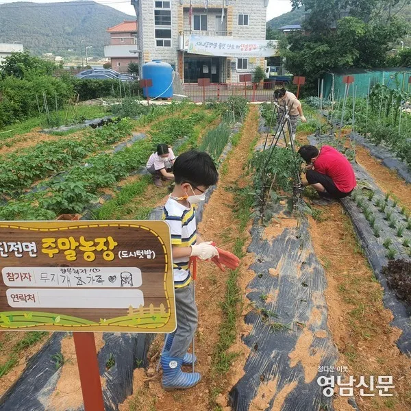 주말농장 시작법 분양 준비물 초보팁 가족과 함께 즐기기_7