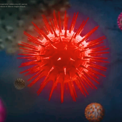 니파 바이러스 관련주 대장주 테마주 수혜주 TOP5