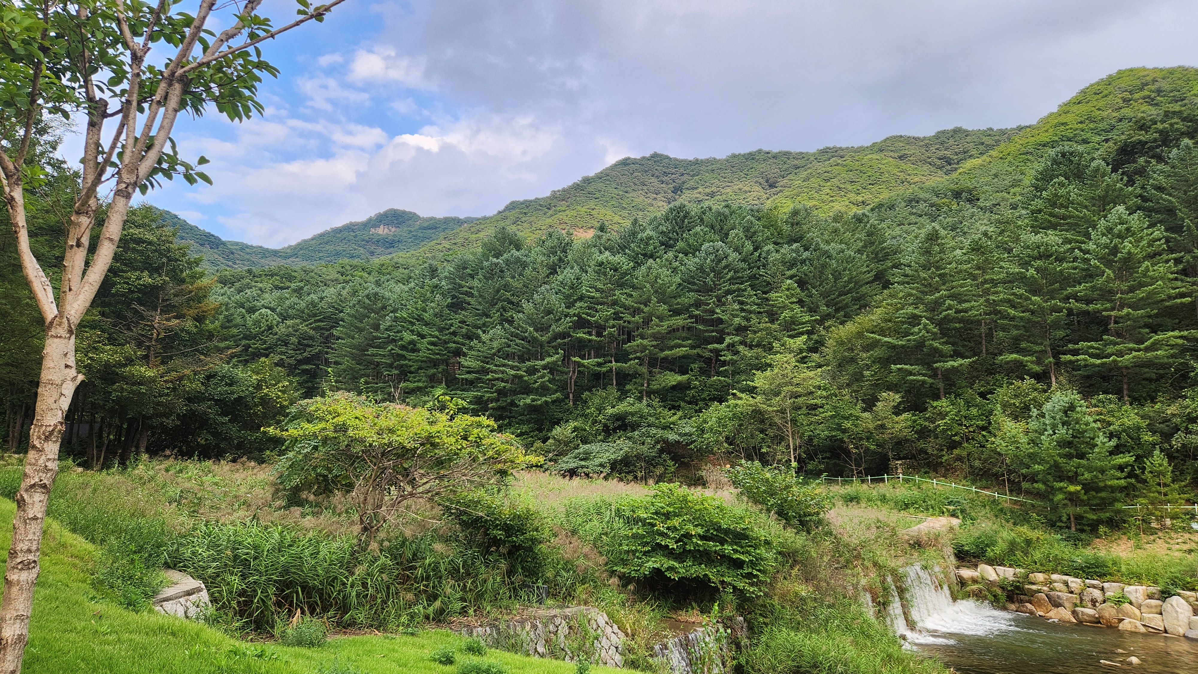 국립춘천숲체원 자연과 바람소리, 물소리, 벌레소리에 치유되다.