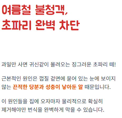바나나 보관법