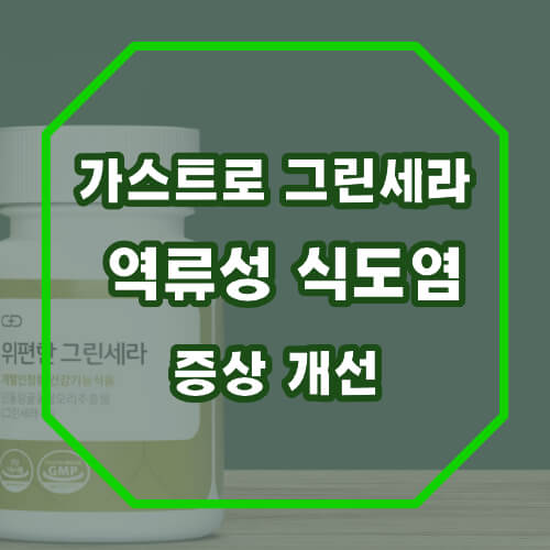 가스트로 그린세라 f 효능 및 역류성 식도염 개선