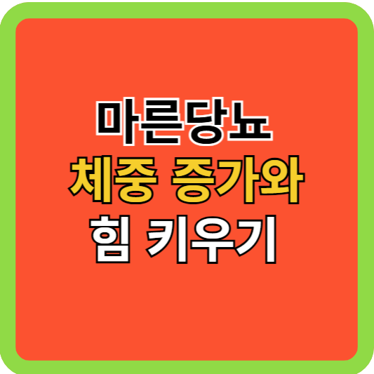 마른당뇨 체중 증가 &amp; 힘 키우기!