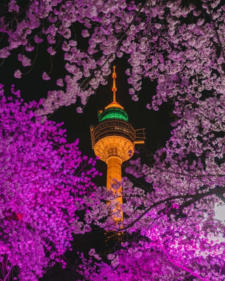 이월드 (대구)