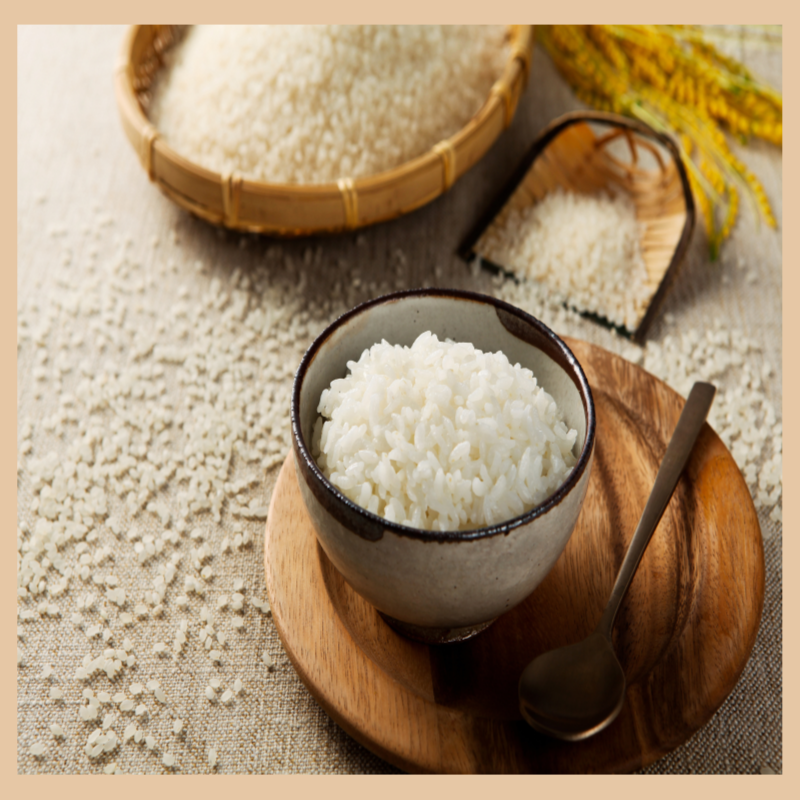 식은밥 효과 제대로 먹는법 저항성 전분