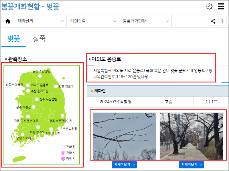 봄꽃개화현황 확인방법