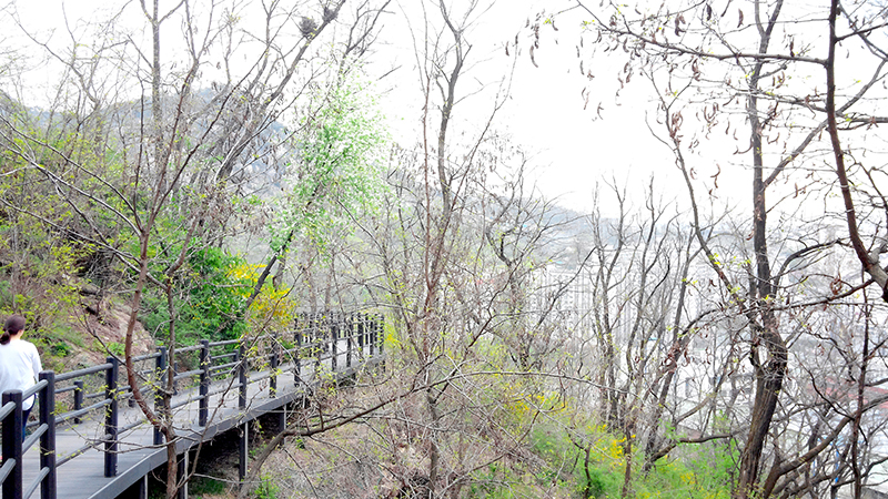 안산자락길(Ansan Jarakgil)