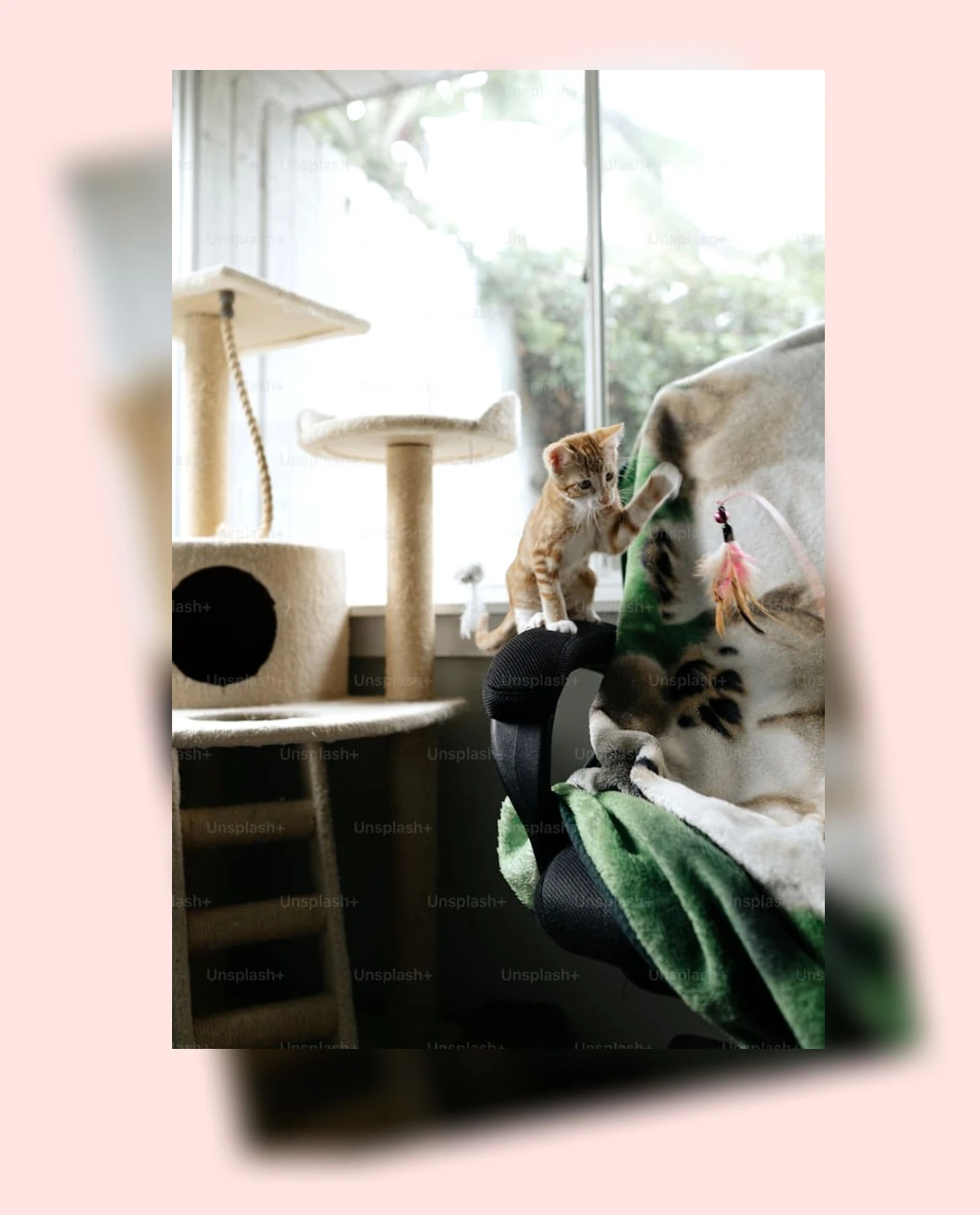 고양이 가구 배치_3_subsection