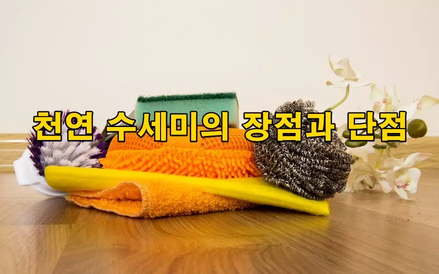 천연 수세미의 장점과 단점