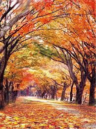 오색약수 설악산 단풍