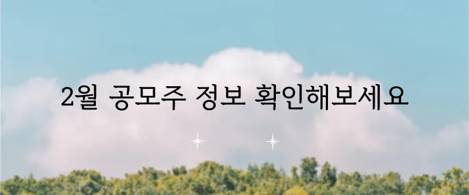 2월 공모주 청약 일정과 주요 기업 분석의 모든 것입니다.