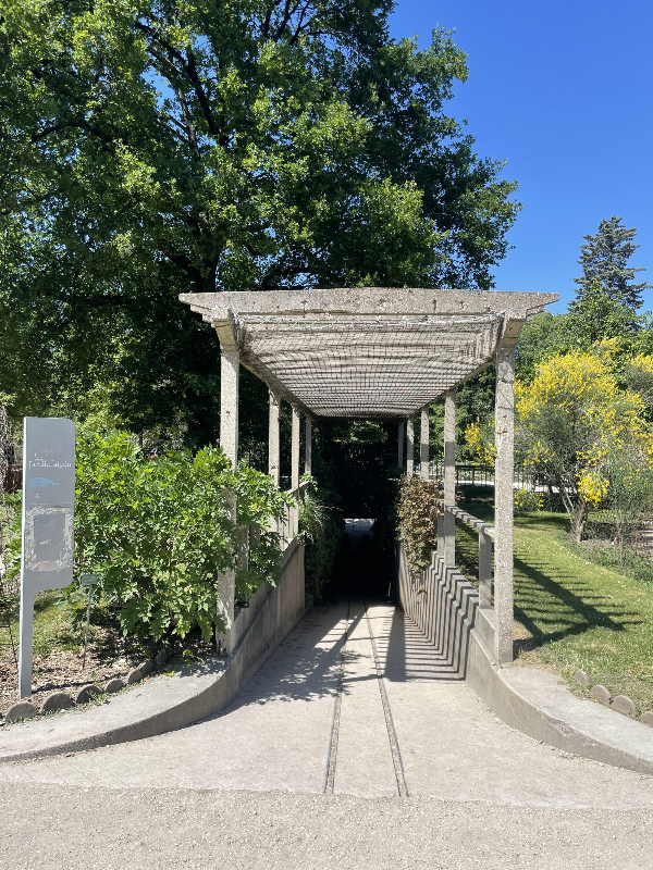 알빵 가든 (Jardin alpin)