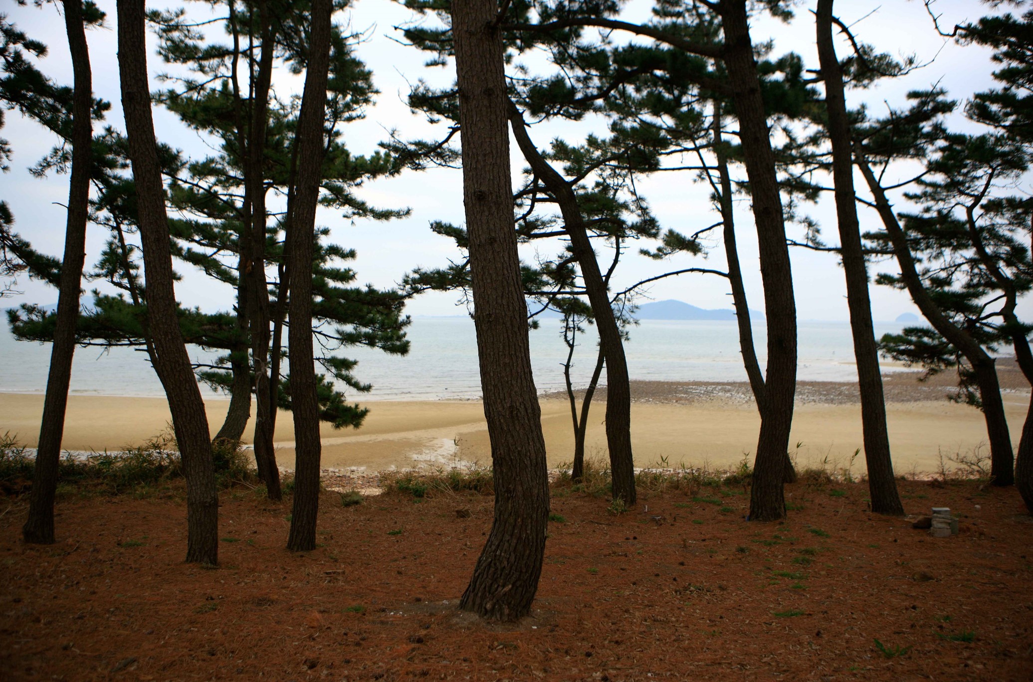 태안-안면도-가볼만한-곳-장곡해수욕장