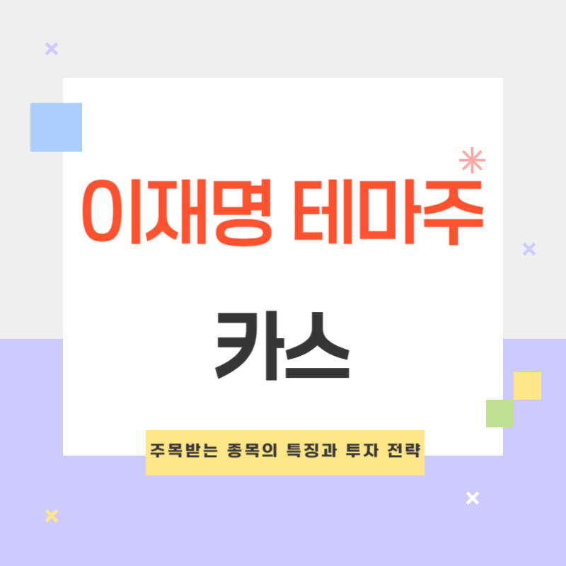 이재명 테마주 카스