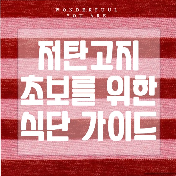 저탄고지 초보를 위한 실용적인 식단 가이드