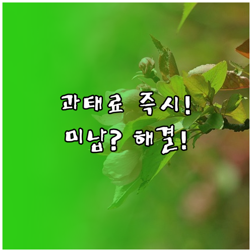 이파인 교통 과태료 미납 조회 납부 ..