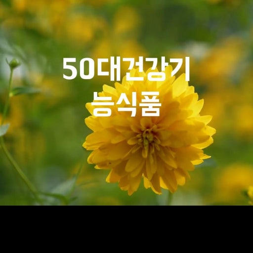 50대 관절에 좋은 영양제