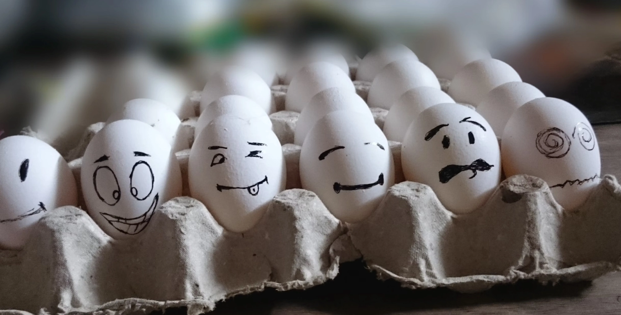 계란 난각번호 5번 