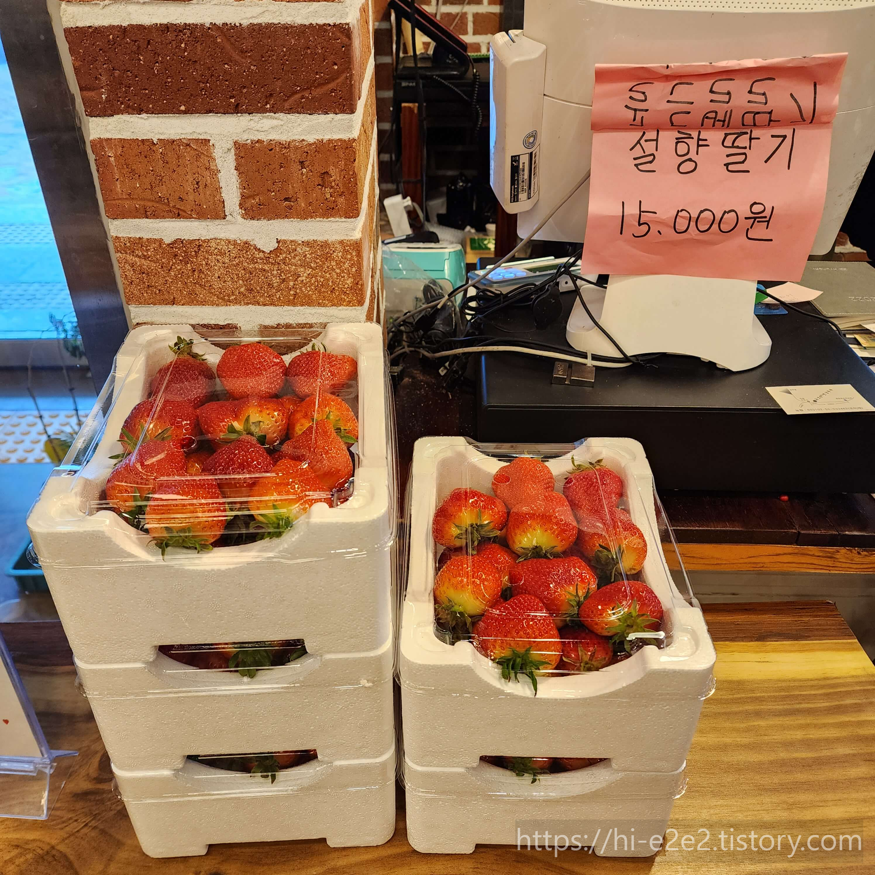 국보966 옛날두부 설향딸기