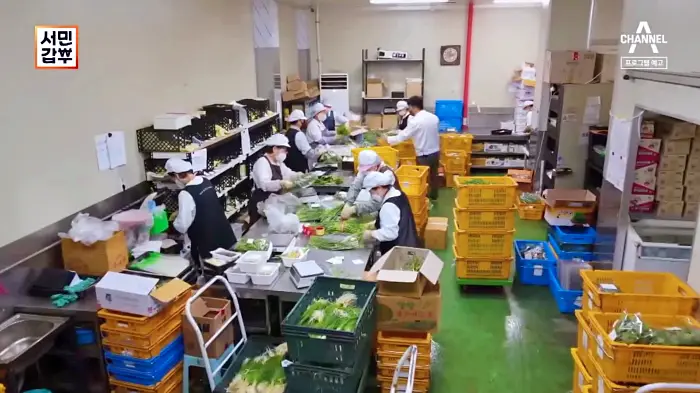 서민갑부 385회 오늘 제철나물을 데쳐 오늘 배송하는 꼼꼼하게 선별한 제철 나물로 연 매출 60억 나물 파는 곳 인터넷 전국 택배 주문 방송 정보