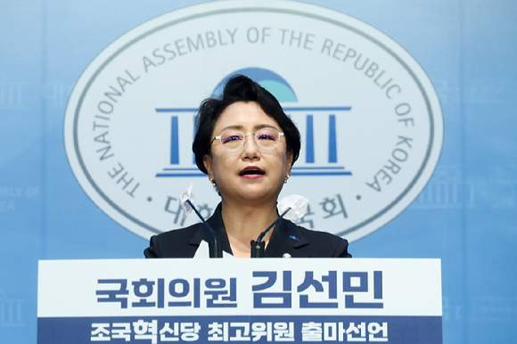 김선민 국회의원의 주요 경력