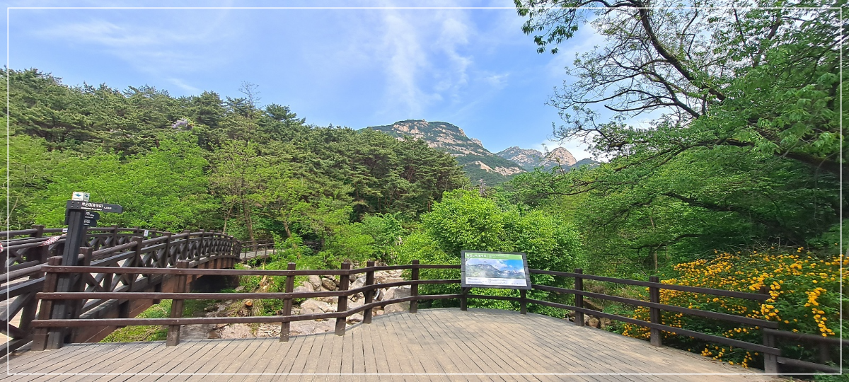 전망대