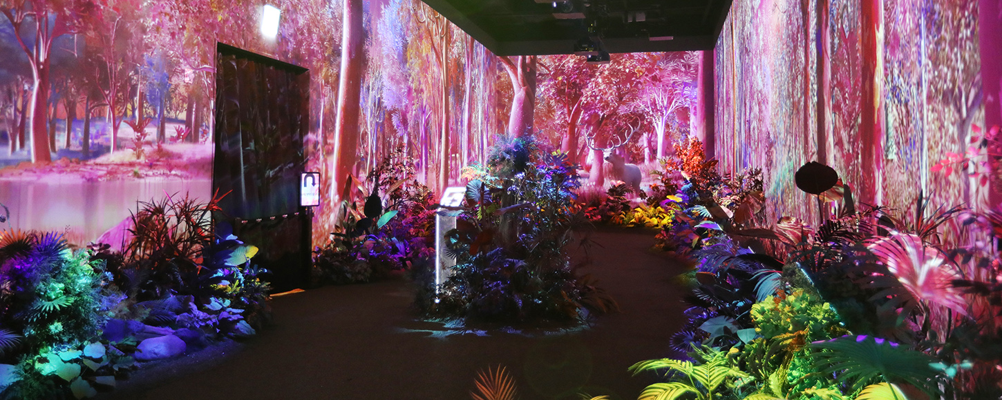 르 스페이스의 'Colorful Forest' 존. 벽면 전체를 감싸는 프로젝션과 다채로운 조명 아래, 생명력 넘치는 숲이 연출된 공간에서 환상적인 분위기를 자아낸다.
