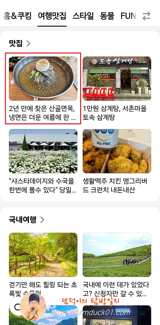 2025년 6월 9일 다음 모바일 여행맛집 채널