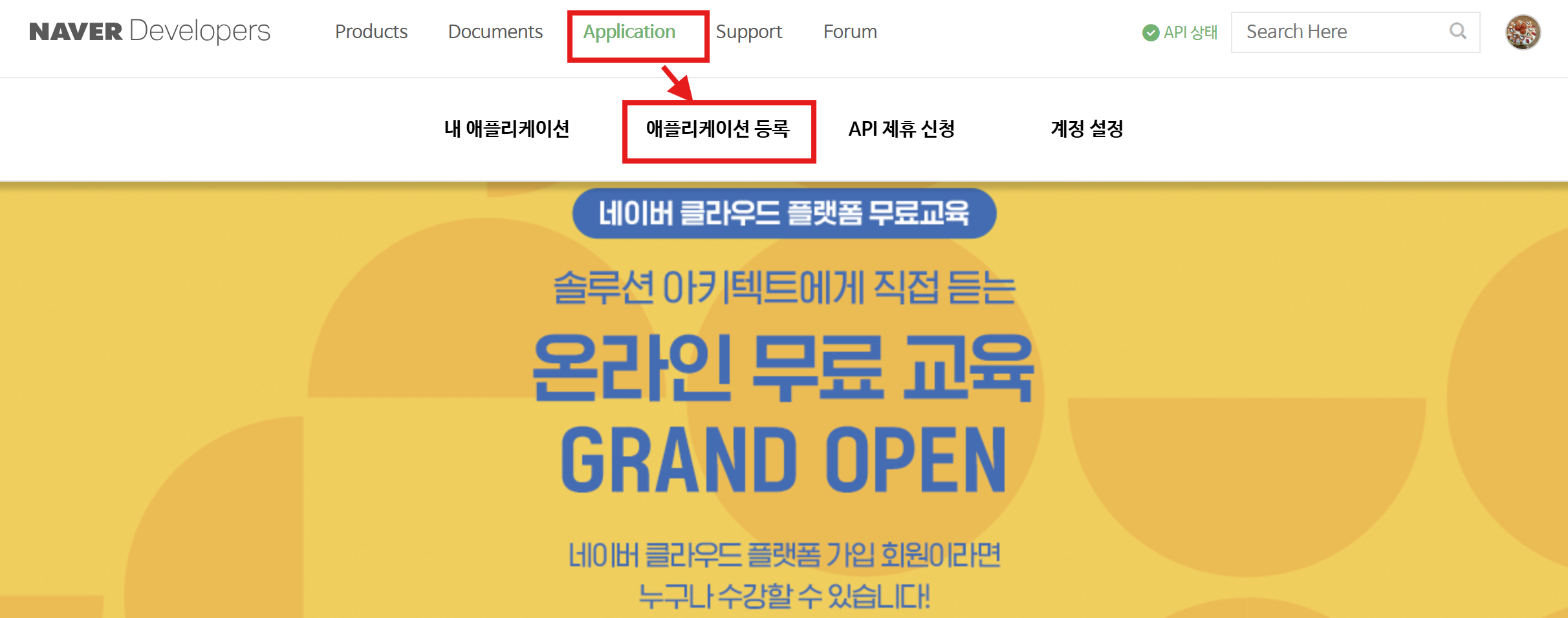 개발자 센타 application