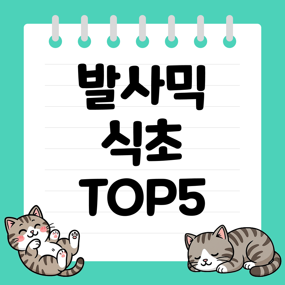 새콤달콤한 풍미로 요리를 완성하는 발사믹 식초 추천 순위 TOP5