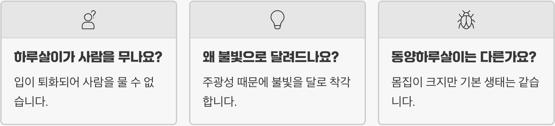 하루살이 수명, 정말 하루만 살까? 당신이 몰랐던 놀라운 진실