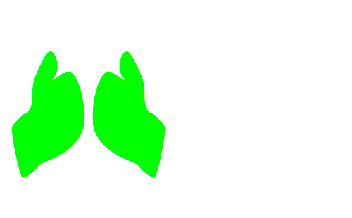 현금영수증 미발행 신고&#44; 포상금 간단정리