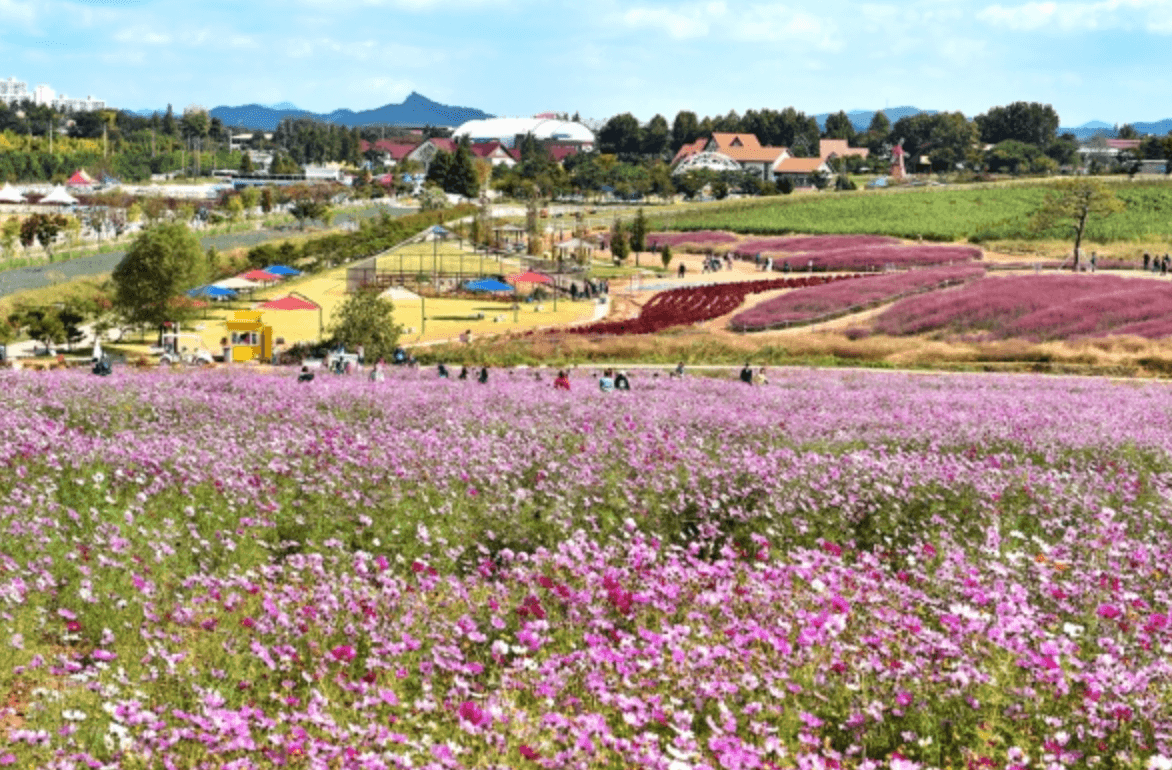 안성 가볼만한곳 베스트10
