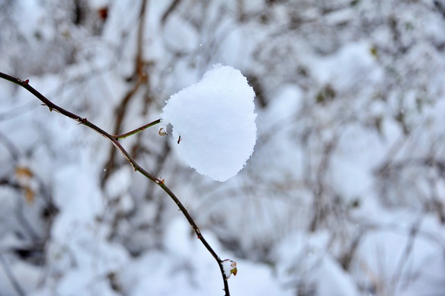 주일 대표 기도문 1월 셋째 주