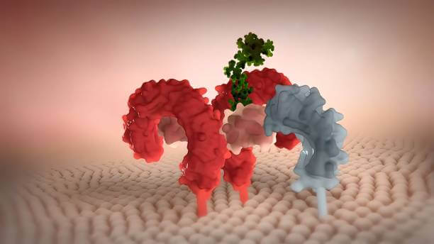 글루타치온 효능과 결핍증상과 제품 고르는 법&amp;#44; 간에 광범위하게 분포하는 천연 항산화제이며 지구상에서 가장 강력한 항산화 효소 중 하나입니다