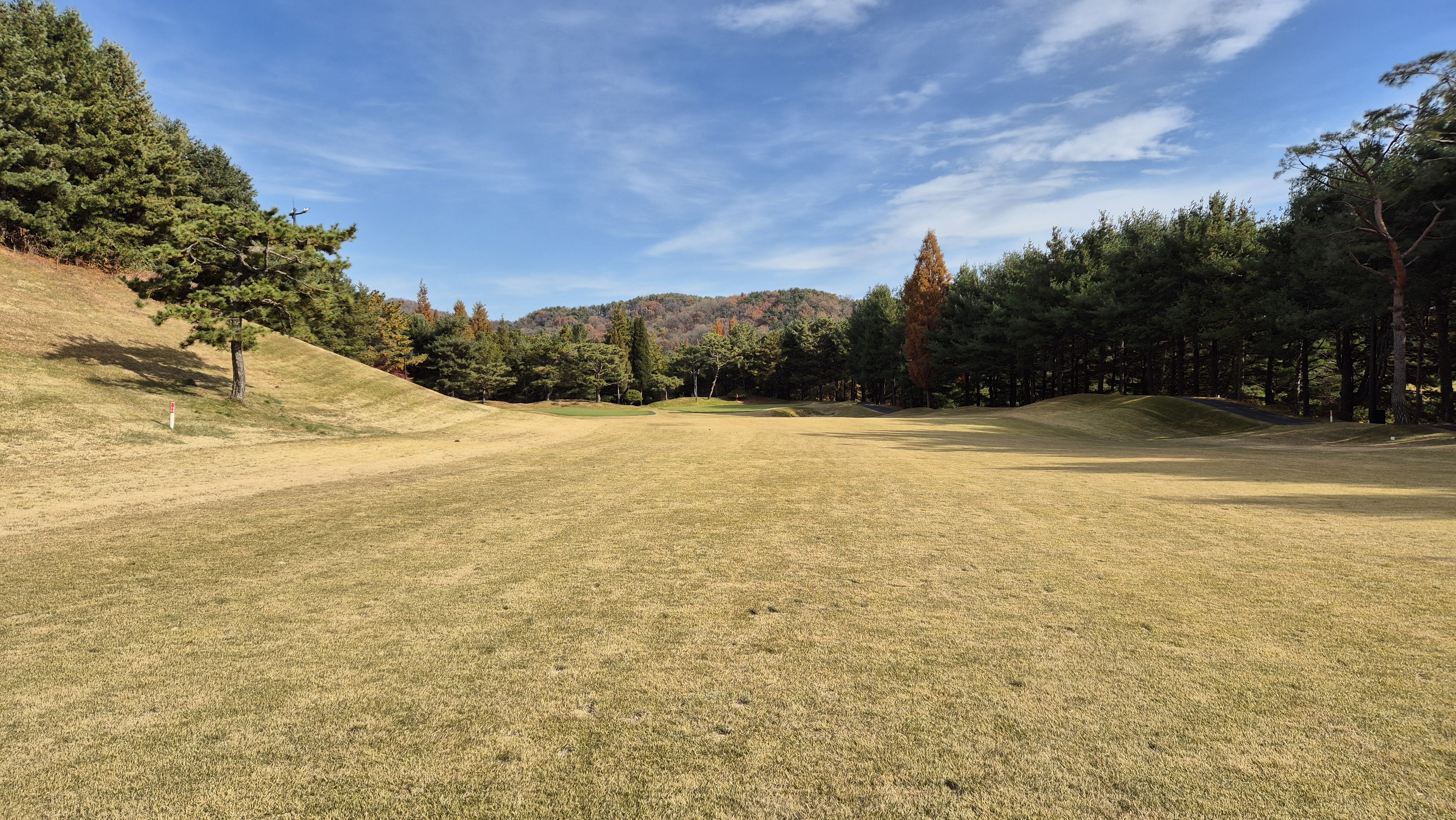 세종에머슨cc 밸리코스 사진 및 공략 정보