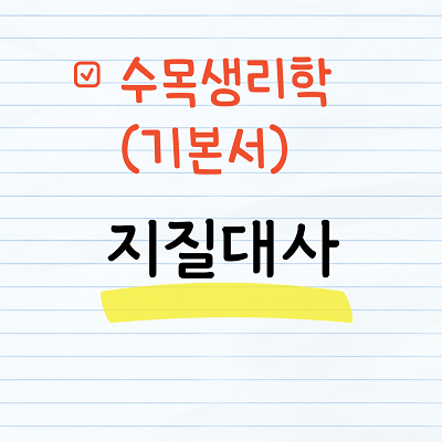 지질대사